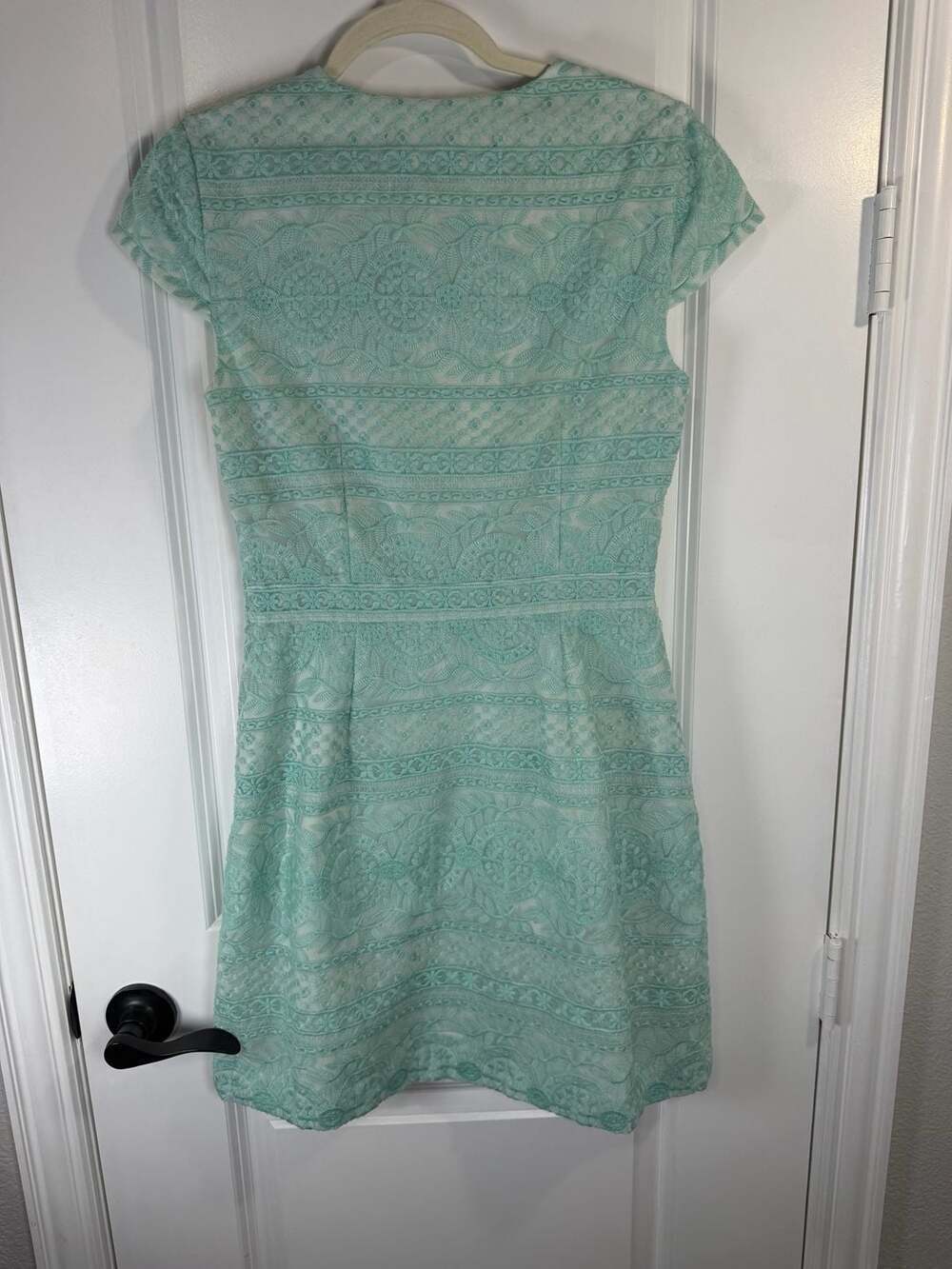 Cynthia Steffe Sea Green Lace Short Sleeve Pleated Fit and Flare Mini Dress - Picture 4 of 8